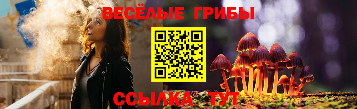 Галлюциногенные грибы Psilocybe Алексеевка